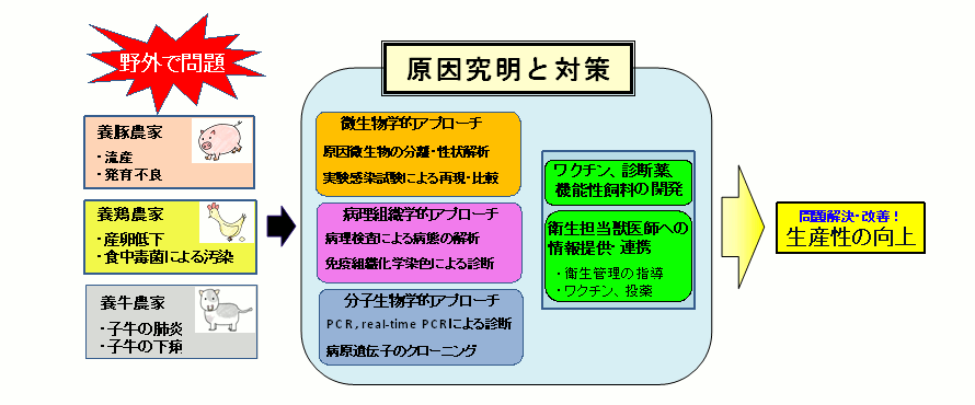 研究開発室