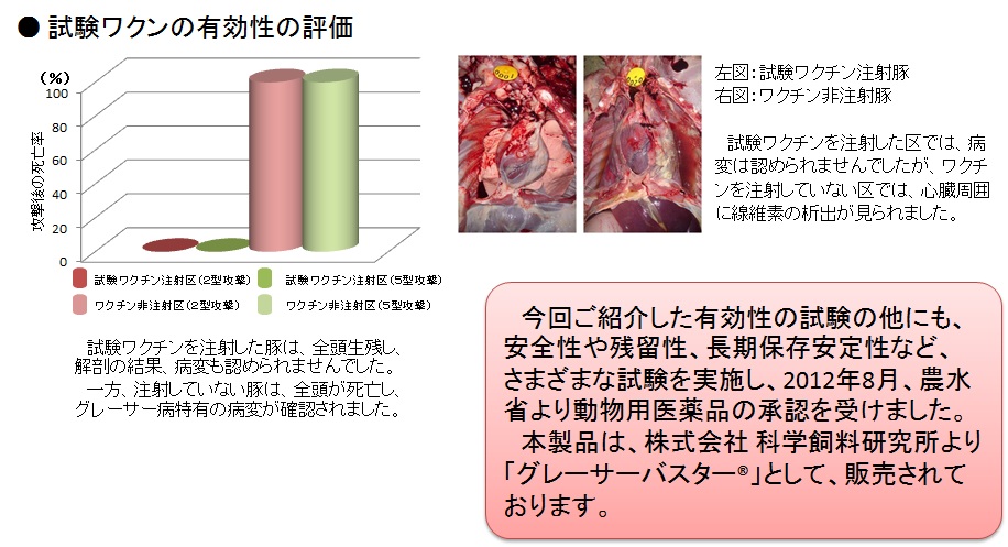 研究例の紹介